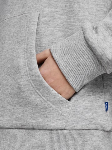 Jack & Jones Junior Regular fit Μπλούζα φούτερ 'Ecorp' σε γκρι