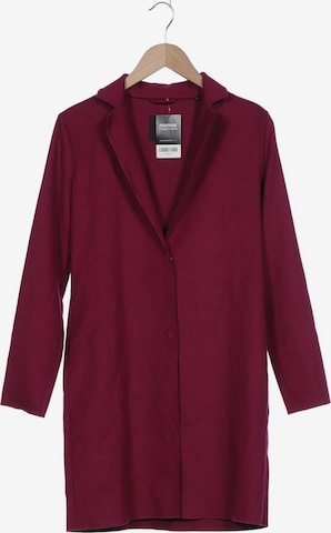 Someday Jacket & Coat in XS in Purple: front