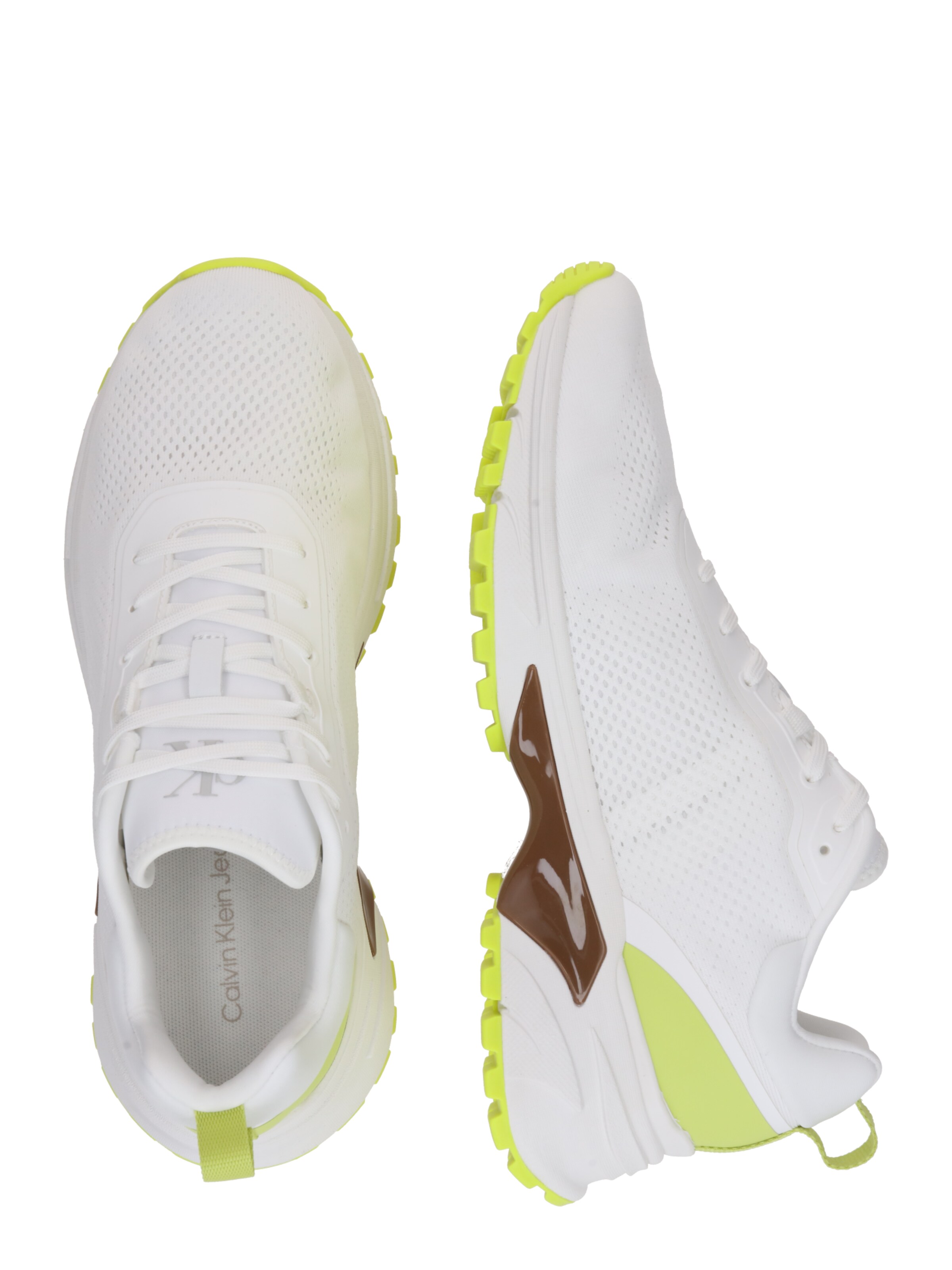 Baskets basses Calvin Klein en blanc