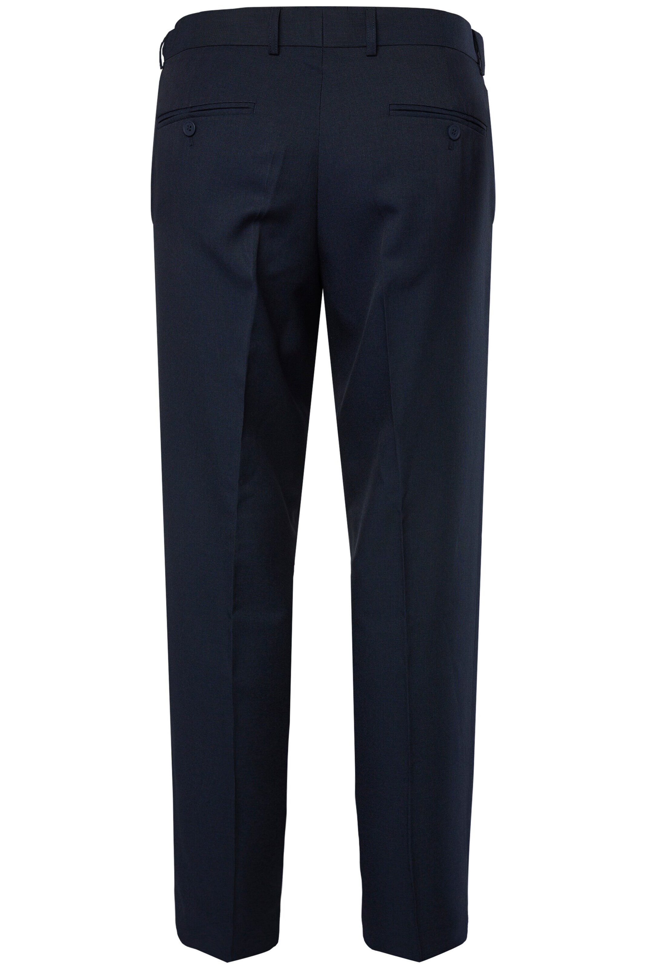 Men Plus Regular Pantalon in Blauw