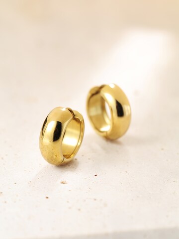 Hey Happiness Ohrringe 'Chunky' in Gold
