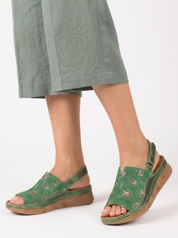 Maciejka Sandal 'L6846-09-00-1' in Green