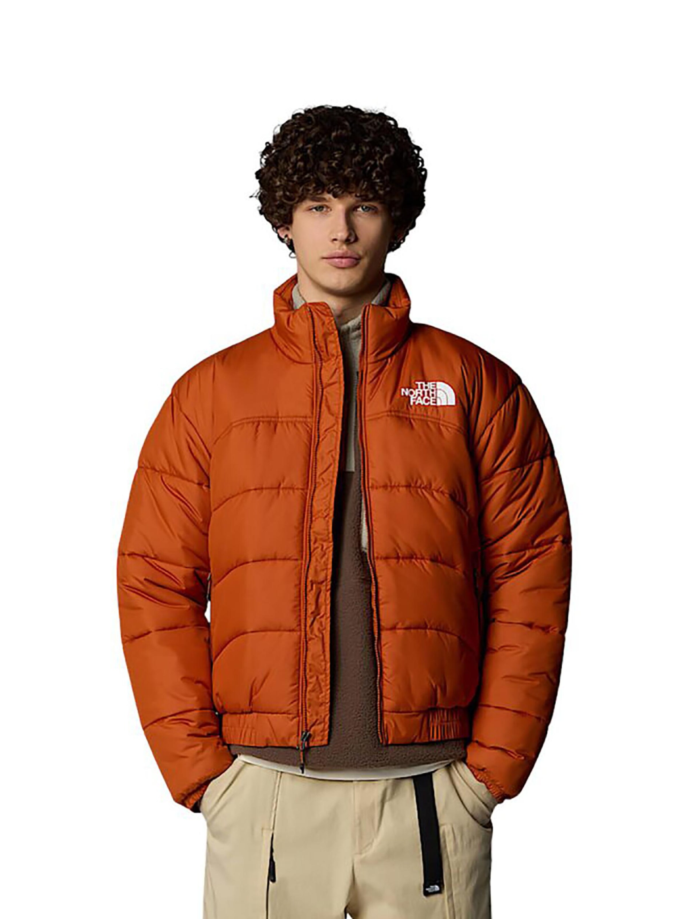 THE NORTH FACE Winter Jacket 'Summit Puffer 2000' in Brown