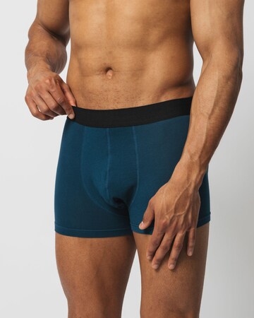 SNOCKS Boxer shorts in Blue