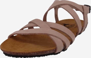 Sandales 'Mam Vali' Plakton en rose : devant