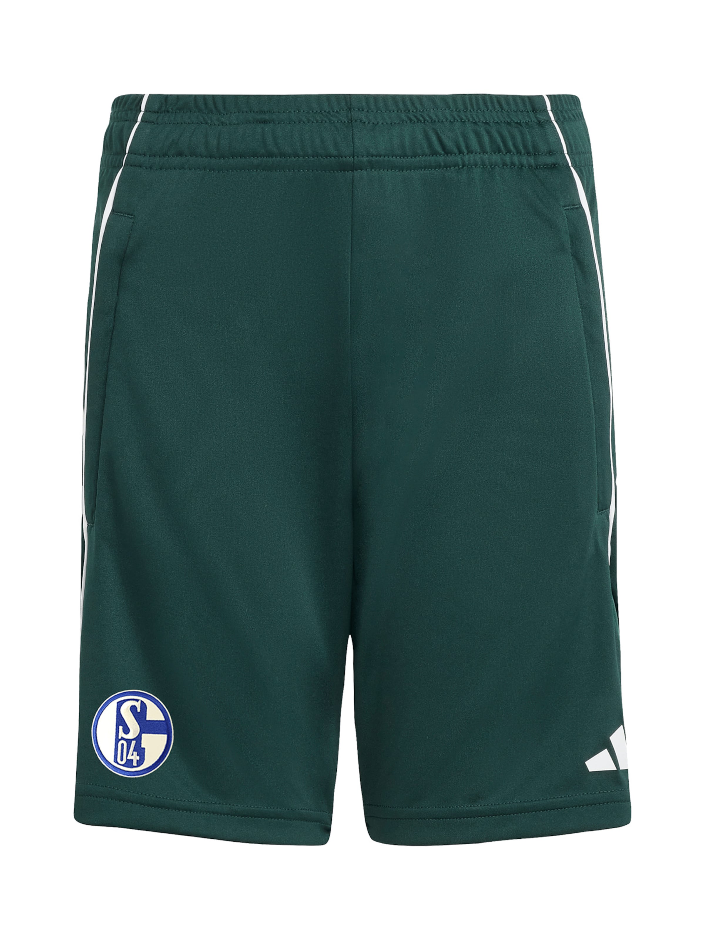 ADIDAS PERFORMANCE Regular Sporthose 'FC Schalke 04' in Grün: Vorderseite