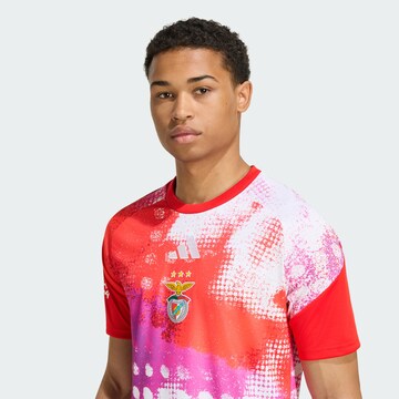 ADIDAS PERFORMANCE - Camisa funcionais 'Benfica Lissabon 26/27 Pre-Match' em vermelho