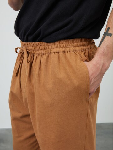 regular Pantaloni 'Kai' di DAN FOX APPAREL in marrone