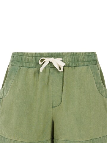 PROTEST Regular Pants 'PRTPien' in Green