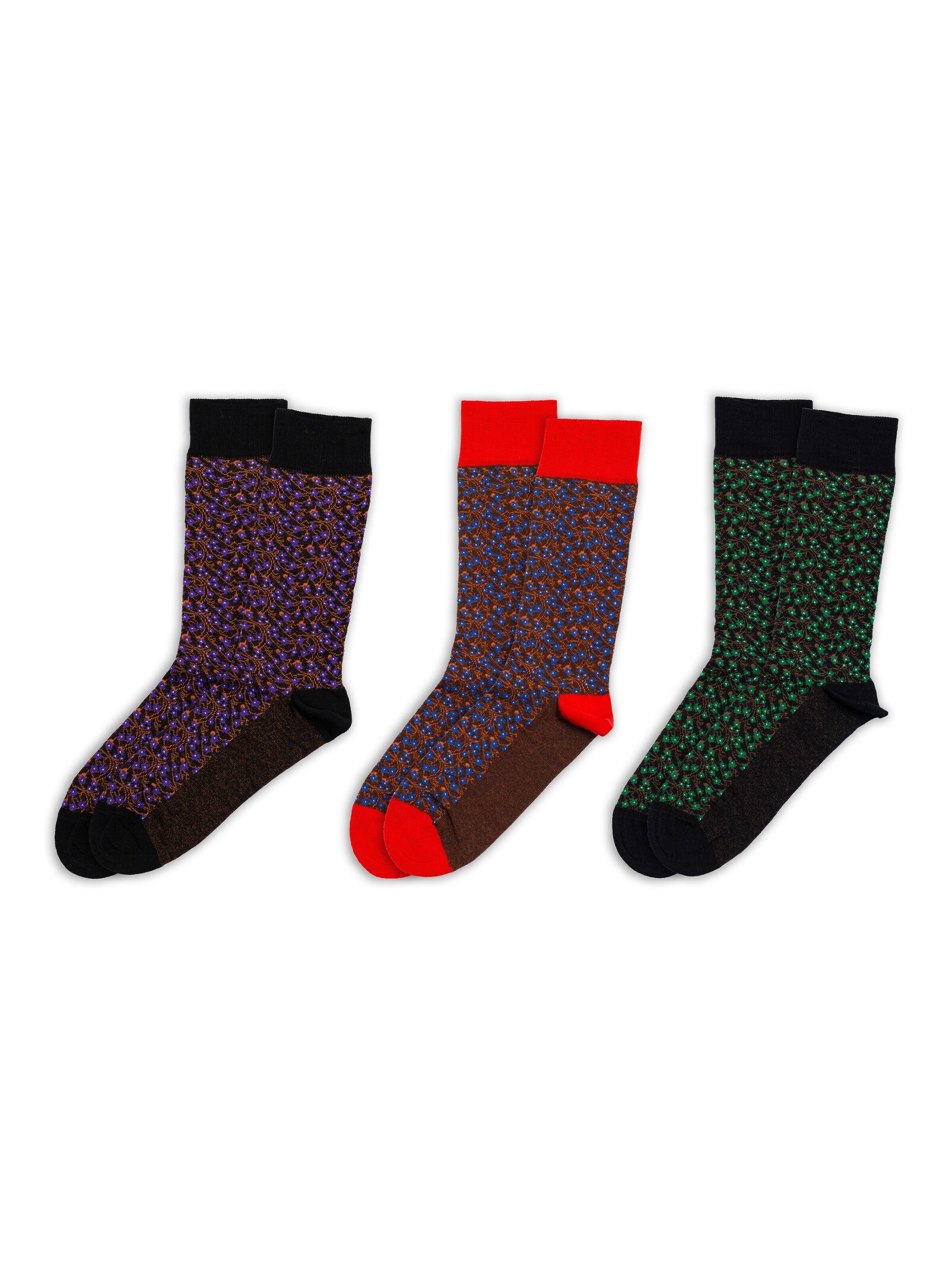 RAFRAY Socks in Mixed colors: front