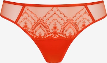 Mey Panty in Orange: front