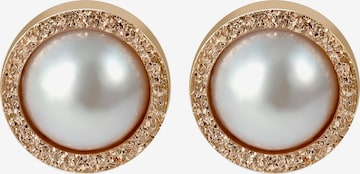 Akzent Earrings 'Edelstahl, langlebig' in Gold: front