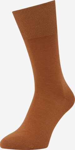 FALKE Sockor 'Airport' i beige: framsida