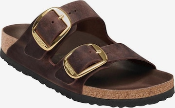 brūns BIRKENSTOCK čības 'Arizona': no priekšpuses