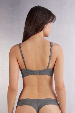 INTIMISSIMI Triangle Bra in Grey: front