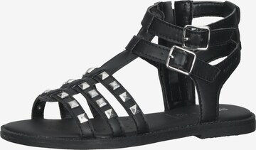 GEOX Sandalen in Zwart: voorkant