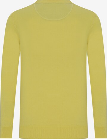 DENIM CULTURE Sweater 'Jeromy' in Yellow