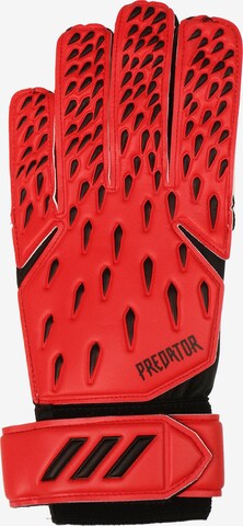 ADIDAS PERFORMANCE Sporthandschoenen 'Predator' in Rood