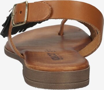 IGI&CO T-Bar Sandals in Brown