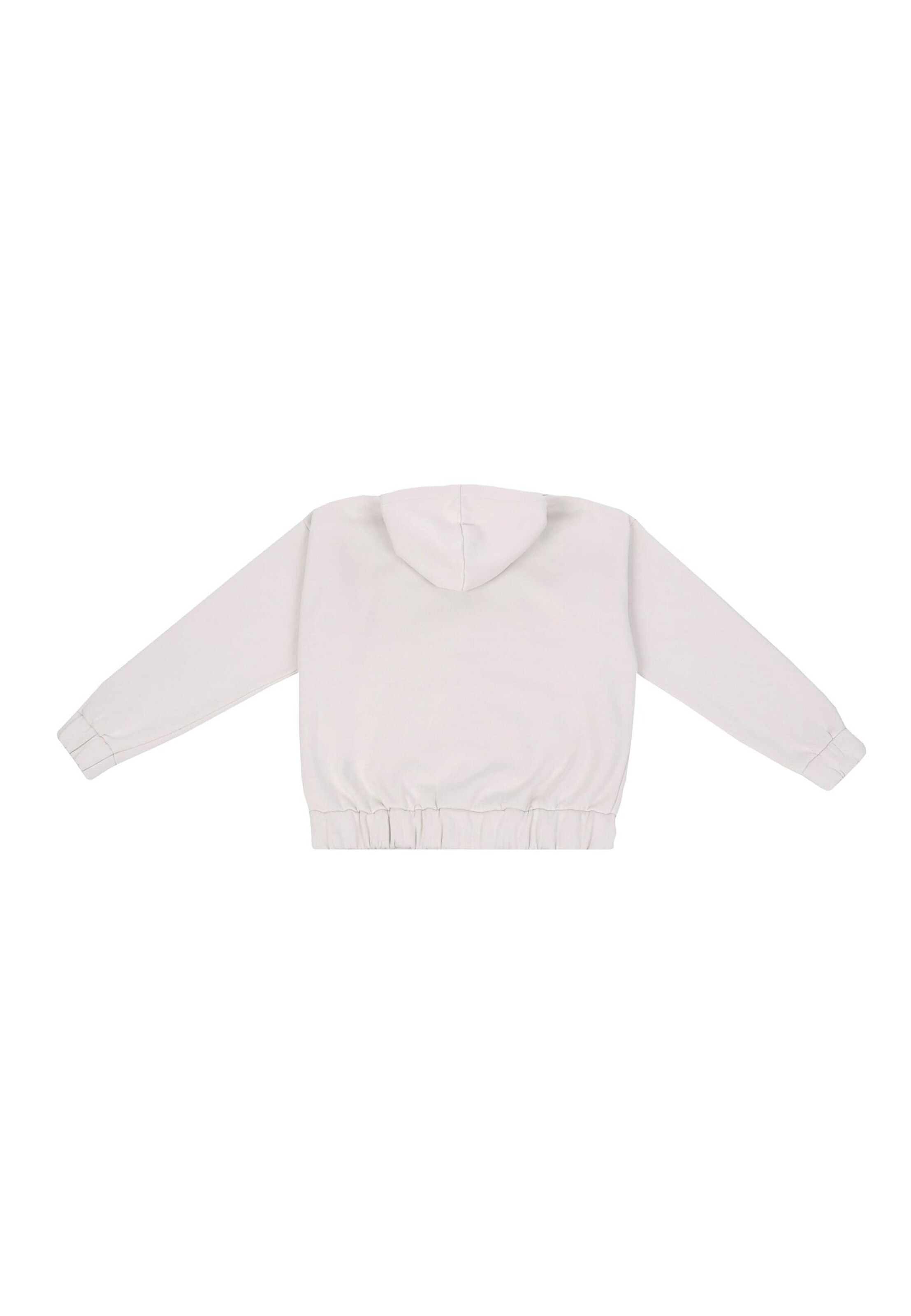 Dropsize Sweatvest 'Embo' in Grijs