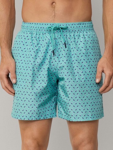 Hackett London Badeshorts 'Mini Shell' in Grün: Vorderseite