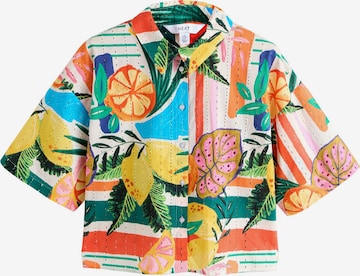 mišri Next Palaidinė: priekis