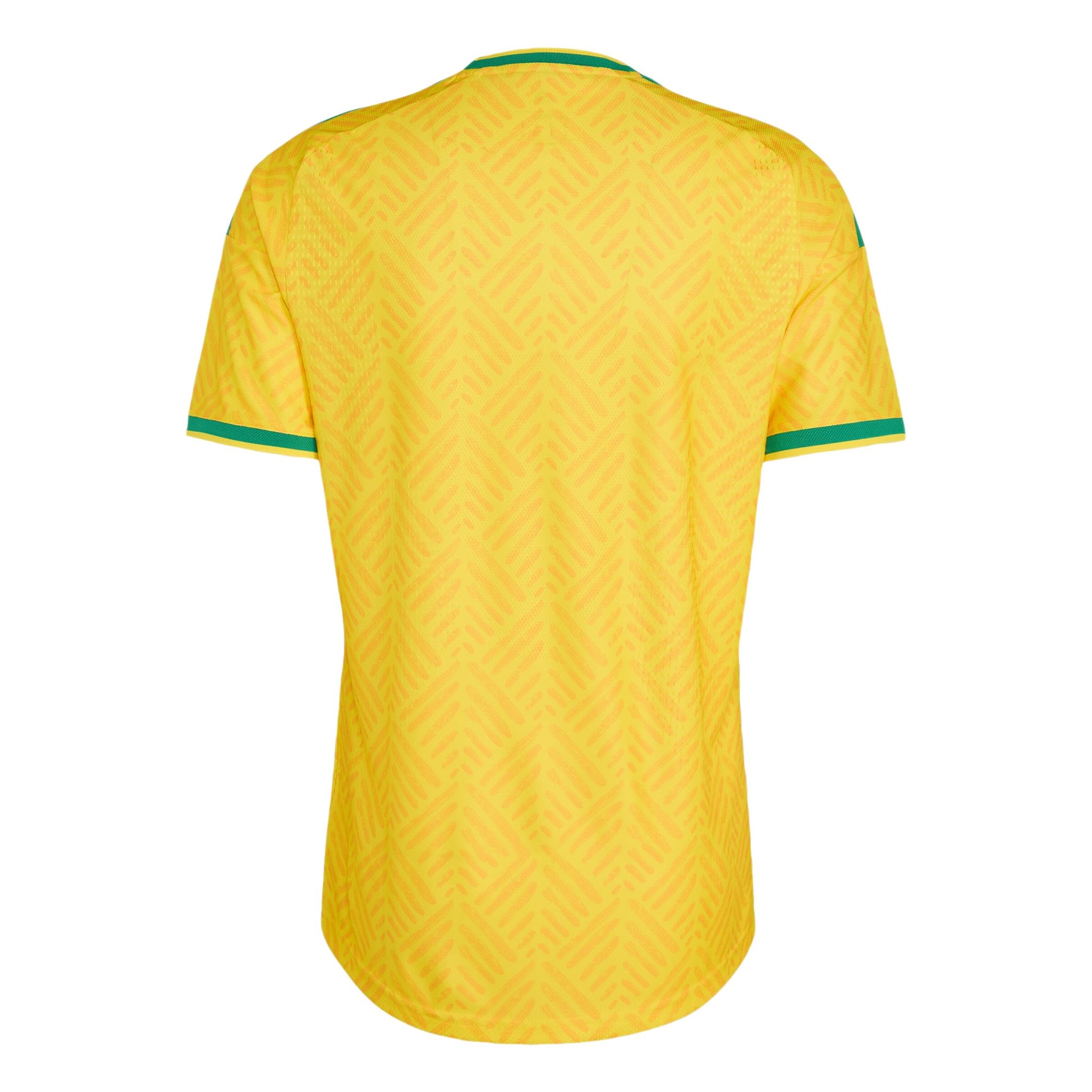ADIDAS PERFORMANCE - Camiseta de fútbol 'Südafrika 26 Authentic' en amarillo