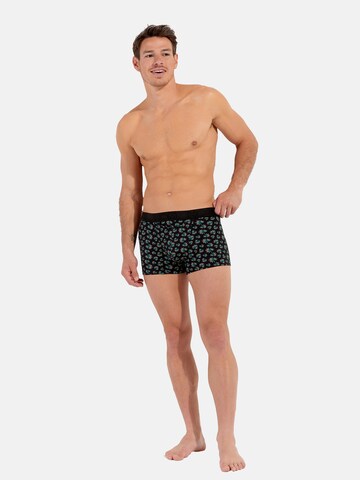 HOM Boxershorts 'Dizzy HO1' in Groen