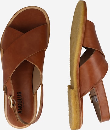 ANGULUS Sandal in Brown