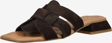 Mule Paul Green en marron : devant