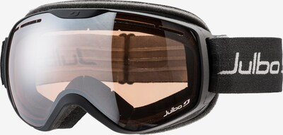 Julbo Skibrille 'Ison XCL' in grau / schwarz, Produktansicht