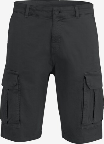 LTB Regular Pants 'Dikada' in Grey: front