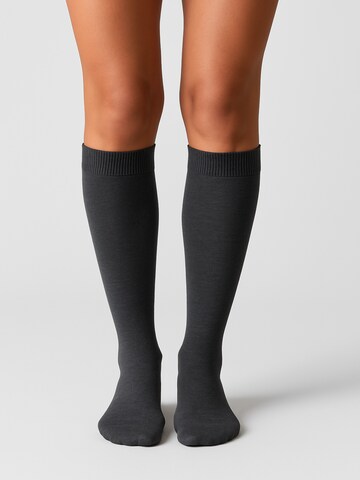 NERS Knee High Socks 'Novera' in Grey