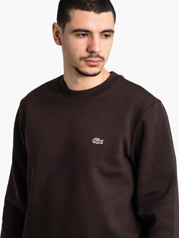 LACOSTE Sweatshirt in Braun