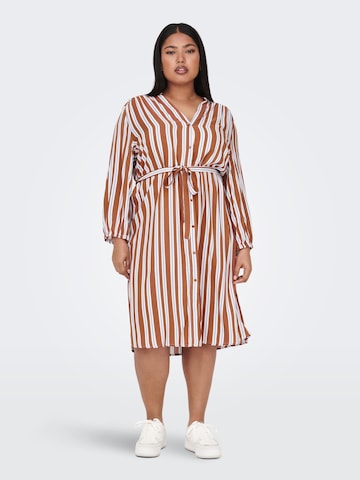 ONLY Carmakoma Shirt Dress in Brown: front