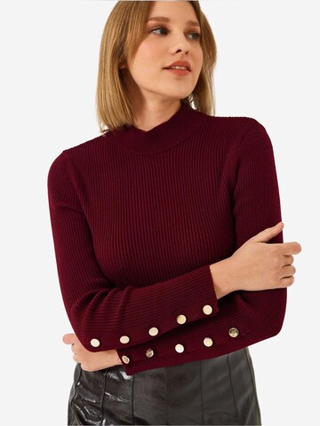 Bianco Lucci Sweater in Red