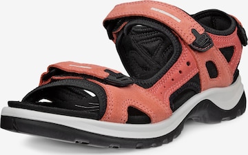 ECCO Matkasandaal 'OFFROAD', värv oranž: eest vaates