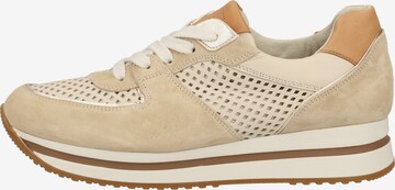 Baskets basses Paul Green en beige