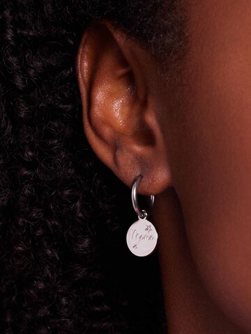 Lucardi Oorbellen in Zilver: voorkant