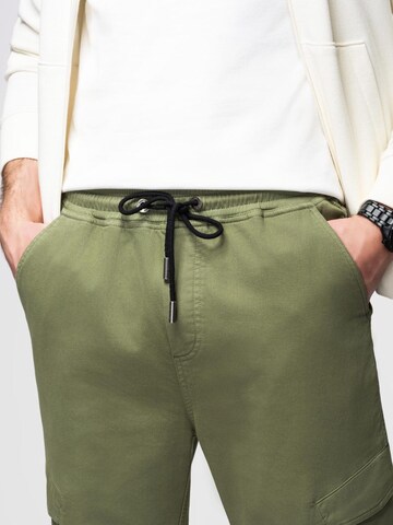 regular Pantaloni sportivi di Ombre in verde