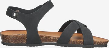 Sandales IGI&CO en noir