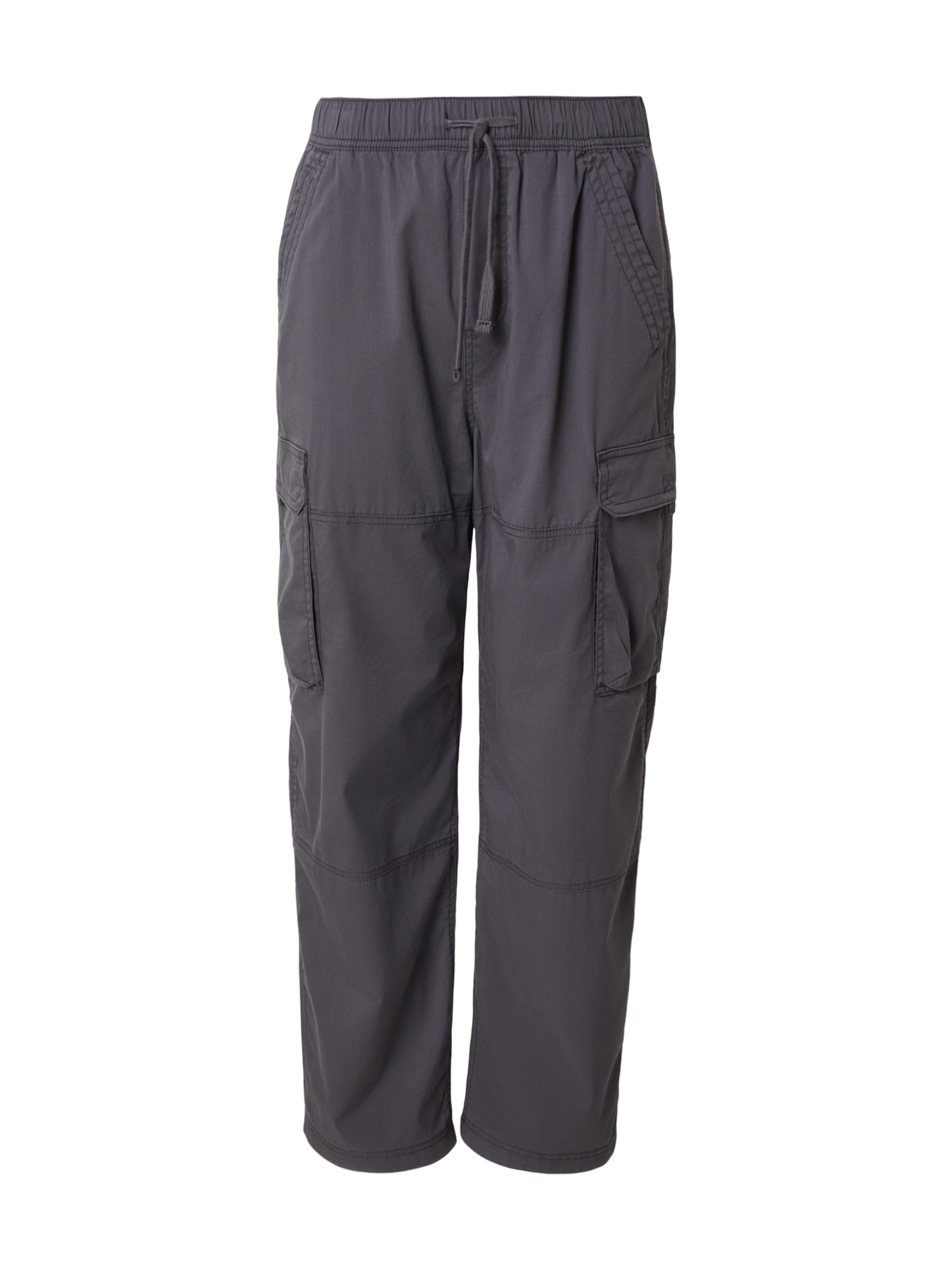 HOLLISTER Baggy Παντελόνι cargo σε γκρι: μπροστά