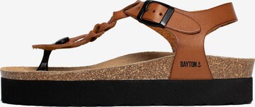 Bayton T-Bar Sandals 'Badajoz' in Brown: front