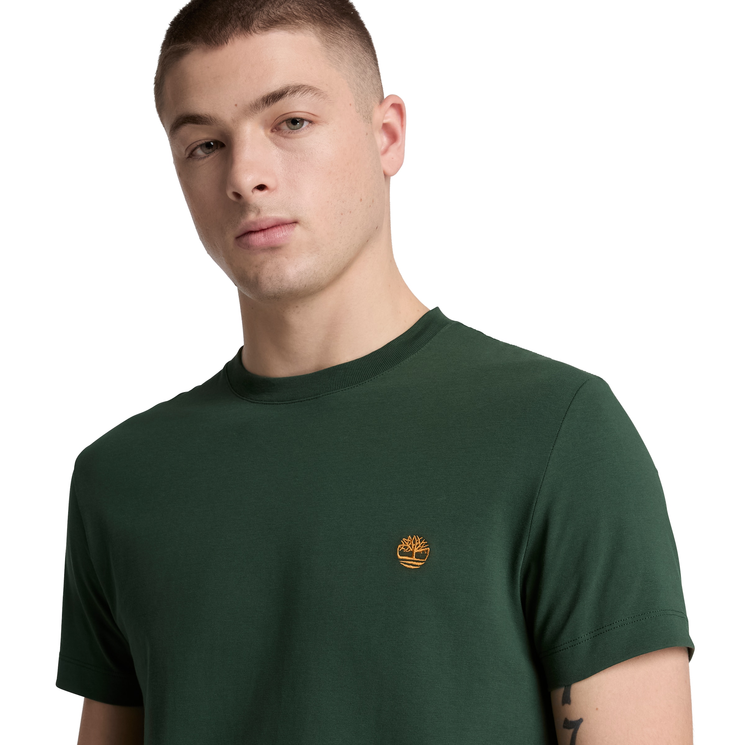 TIMBERLAND T-Shirt in Grün
