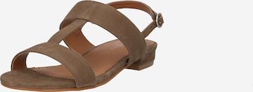 Dorothy Perkins - Sandalias con hebilla 'Bronya' en verde: frente