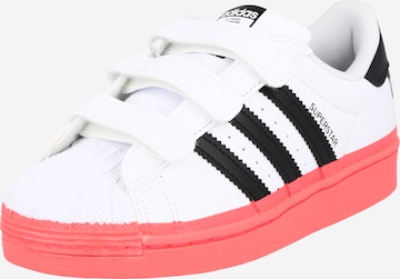 ADIDAS ORIGINALS Sneakers 'SUPERSTAR' in White: front