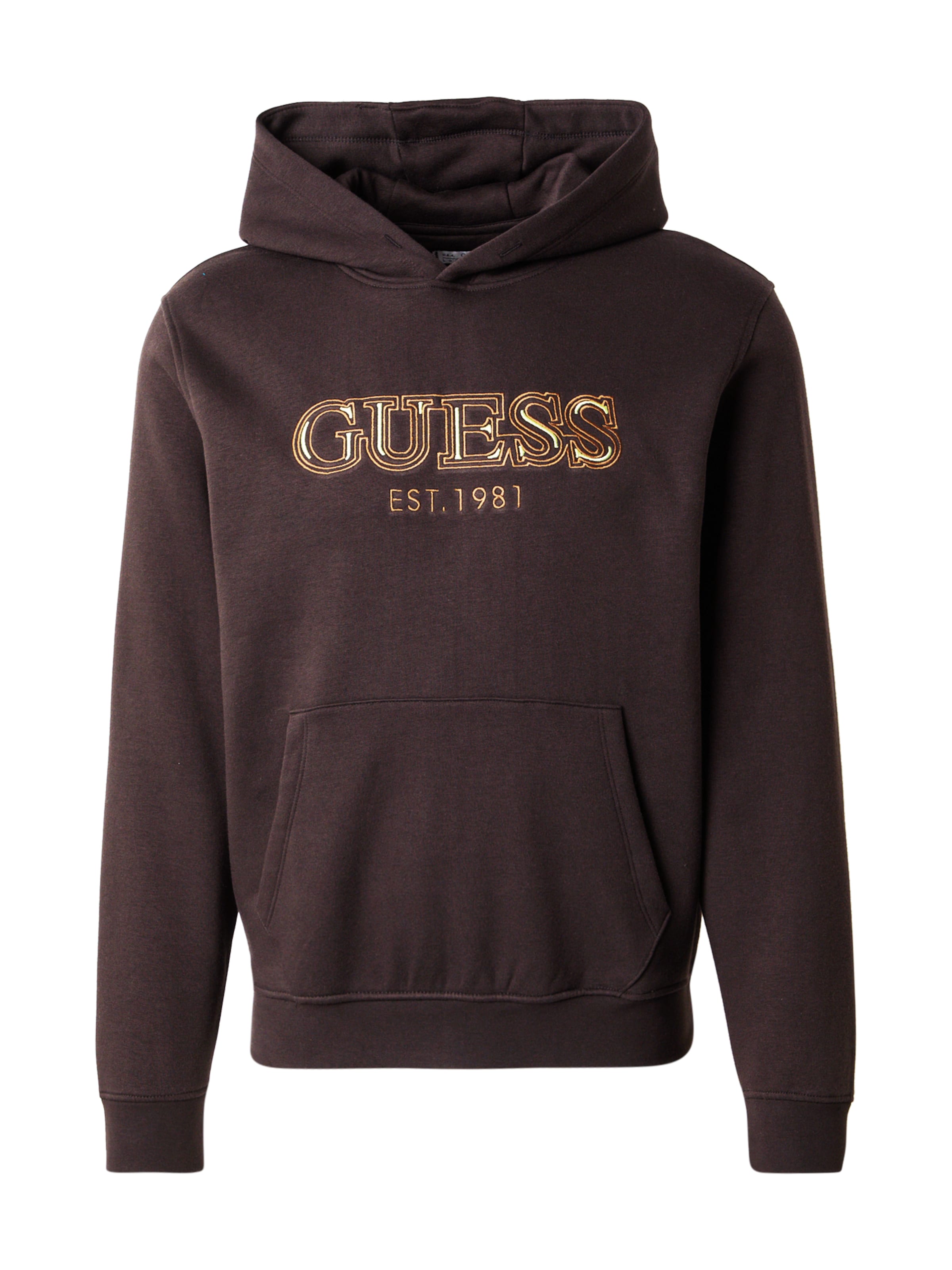 GUESS Sweatshirt in Ivory / Chocolate / Pueblo, Item view