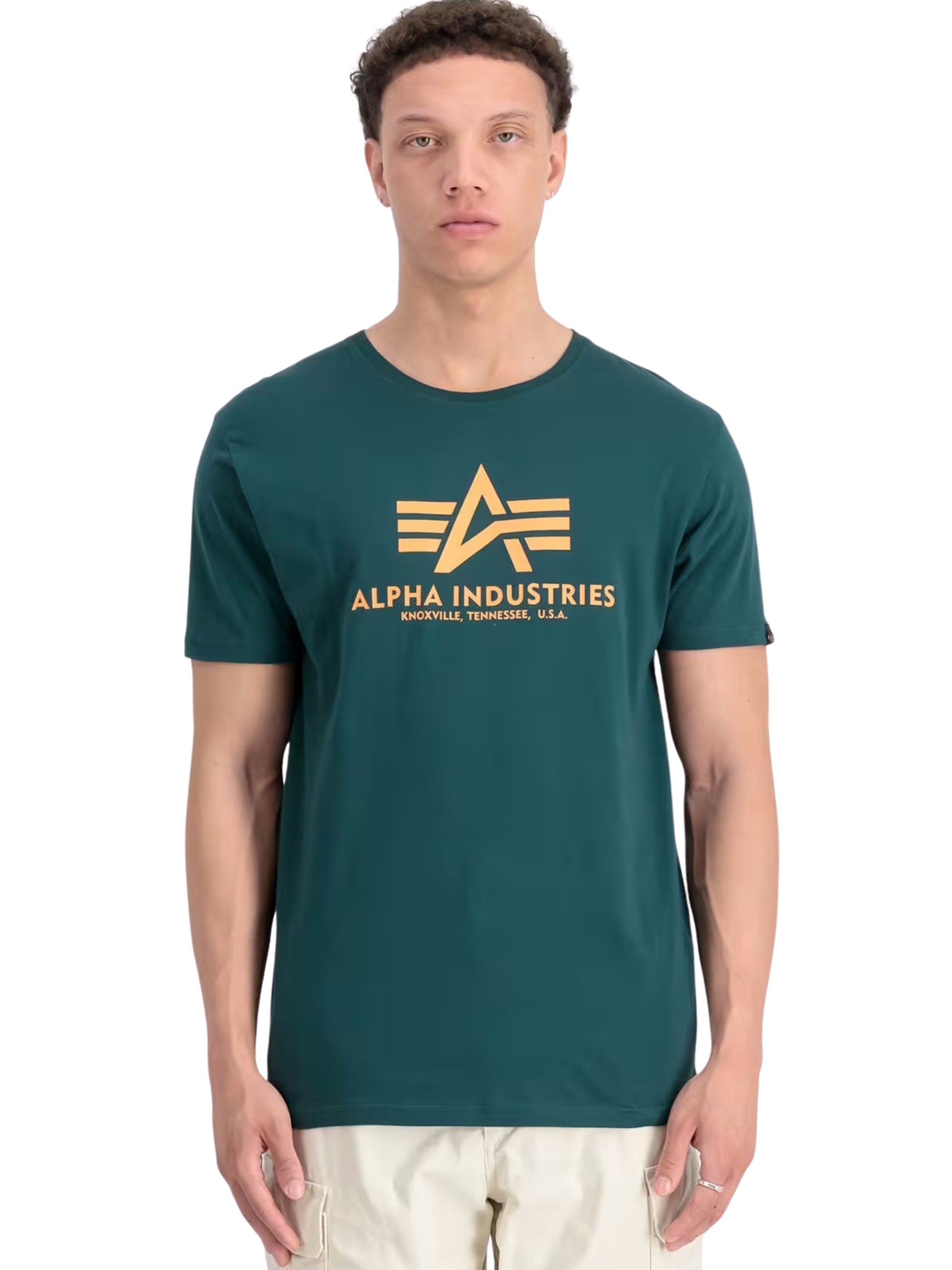 ALPHA INDUSTRIES Shirt 'Basic' in Groen