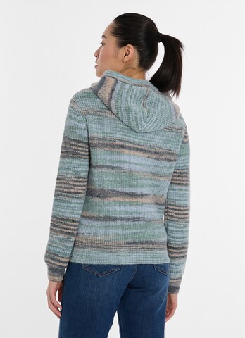 Ragwear Pullover in Blau