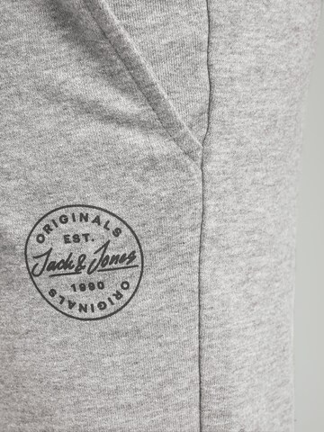 Jack & Jones Junior Regular Pants in Grey